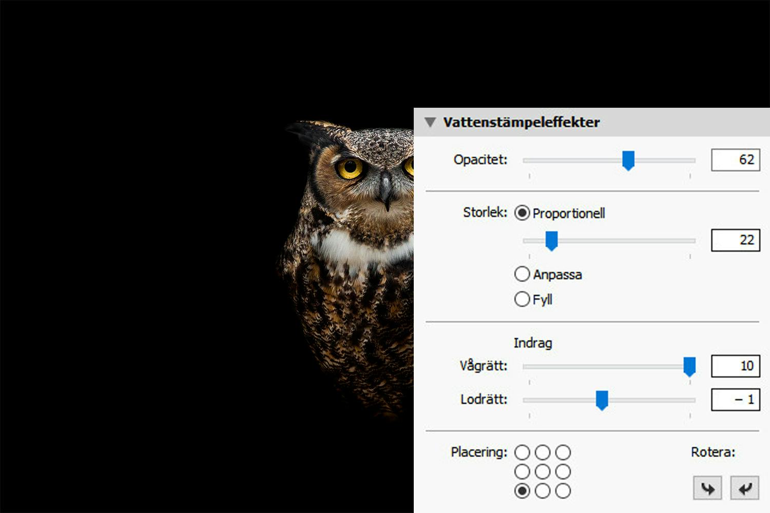 3 cl2hp esxmob4przizyk4q Vattenmärket redigeras steg 3